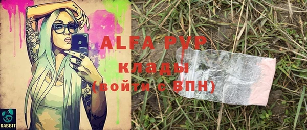 PSILOCYBIN Аркадак