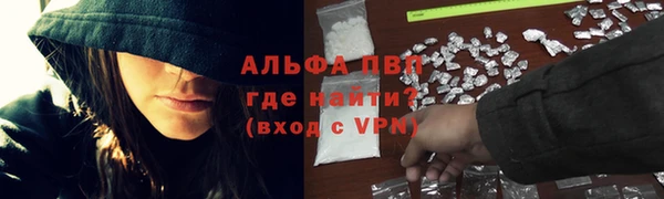 PSILOCYBIN Аркадак