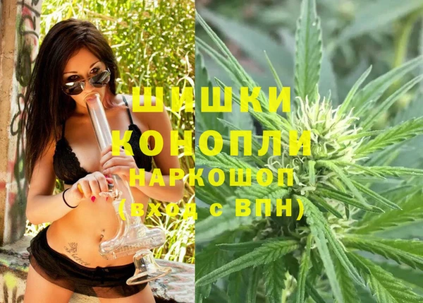 PSILOCYBIN Аркадак